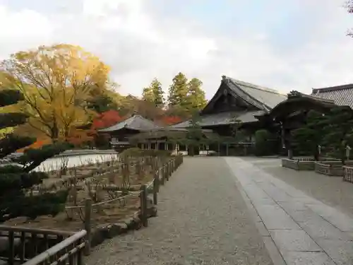 長谷寺の本殿