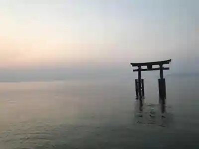 白鬚神社の鳥居