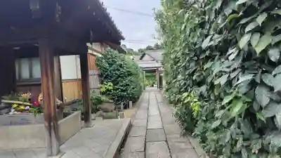 勝林寺(京都府)