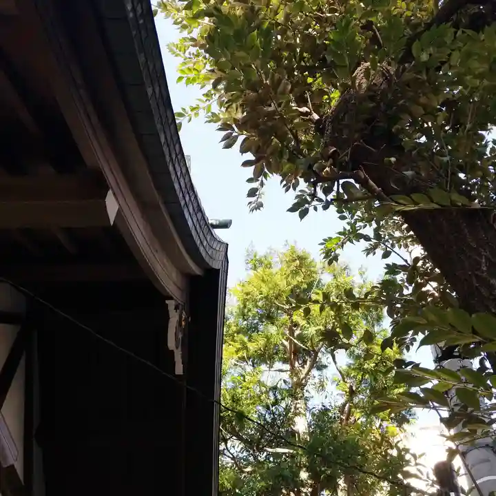 恵比寿神社のその他建物