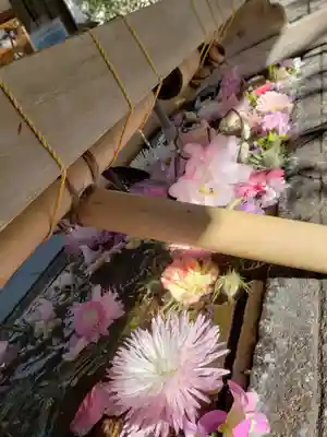 鳩森八幡神社(東京都)