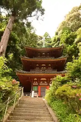 松尾寺(奈良県)