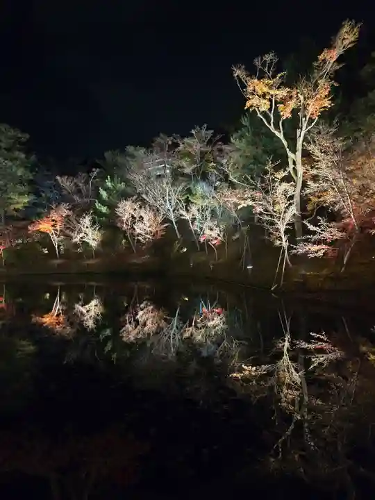 高台寺(高台寿聖禅寺・高臺寺)(京都府)