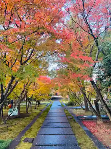 興聖寺(京都府)