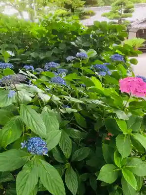 御裳神社(愛知県)