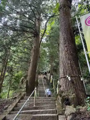 金持神社(鳥取県)