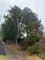 白山神社の自然