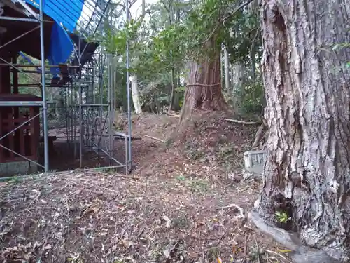 八王子神社の自然