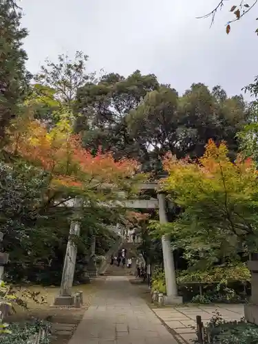赤坂氷川神社(東京都)
