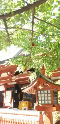 秋葉神社の本殿・本堂