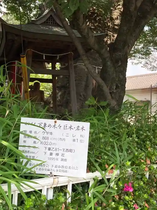 下妻神社の自然