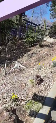 足利織姫神社(栃木県)
