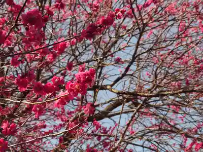 宗仲寺(神奈川県)