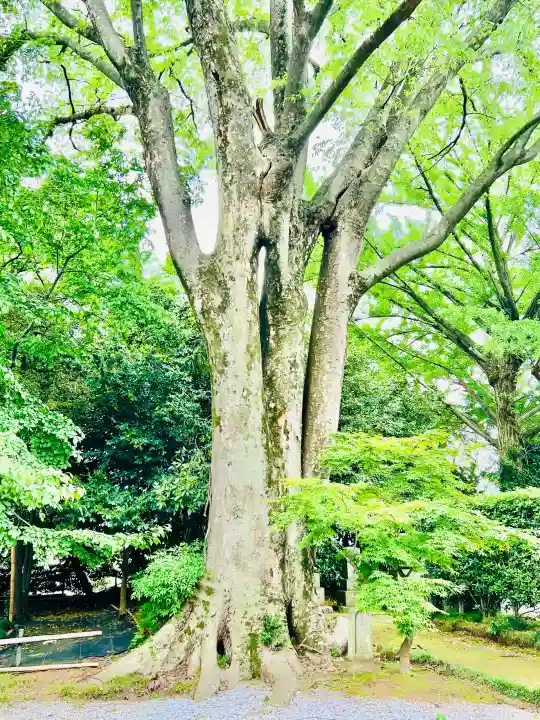 自性院(茨城県)
