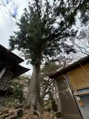 龍興山神社(青森県)