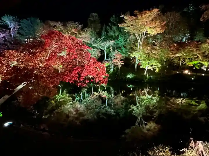 高台寺(高台寿聖禅寺・高臺寺)(京都府)