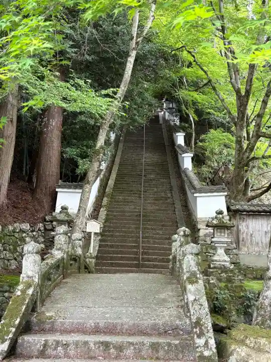 西教寺の{uncategorized: "未分類", other: "その他", undefined: "問題あり", building: "その他建物", grave: "お墓", sacred_gate: "鳥居", guardian: "狛犬", statue: "像", buddha: "仏像", history: "歴史", nature: "自然", garden: "庭園", animal: "動物", pagoda: "塔", temizu: "手水舎", mountain_gate: "山門・神門", sanctuary: "本殿・本堂", subordinate: "末社・摂社", art: "芸術", scenery: "景色", jizo: "地蔵", ema: "絵馬", goshuin: "御朱印", omikuji: "おみくじ", items: "授与品その他", amulet: "お守り", goshuincho: "御朱印帳", eats: "食事", festival: "お祭り", votive_dance: "神楽", shichigosan: "七五三参", wedding: "結婚式", experience: "体験その他", initially: "初詣", around: "周辺", anti_infection: "感染症対策"}