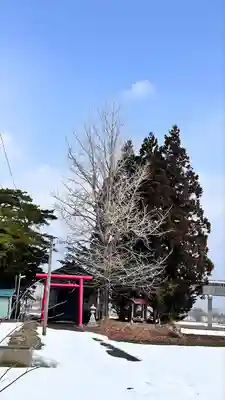 櫻岱神社(北海道)