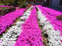 寿量山 速成寺(奈良県)