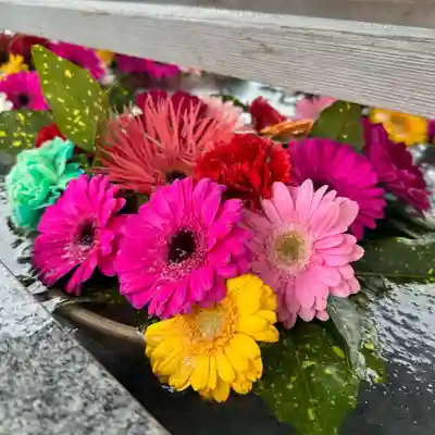 豊景神社の手水舎