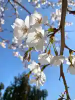 鹿嶋三嶋神社(茨城県)