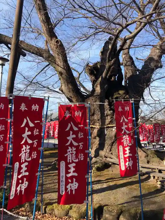 秩父今宮神社の自然
