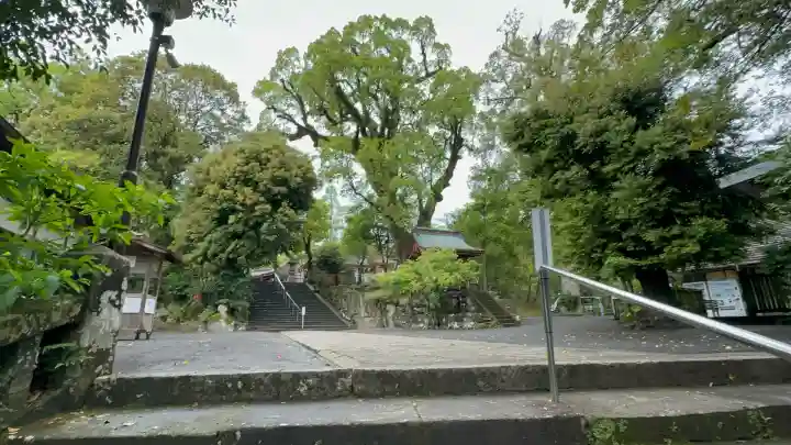 鹿児島神宮(鹿児島県)