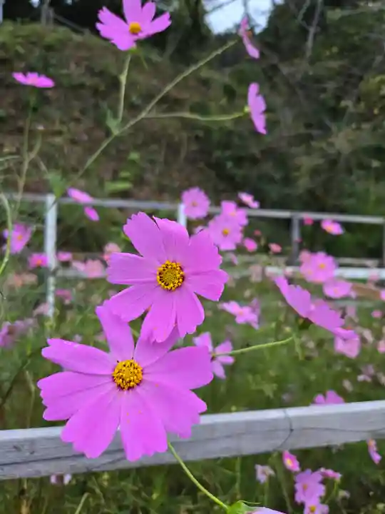 安倍文殊院 (奈良県)