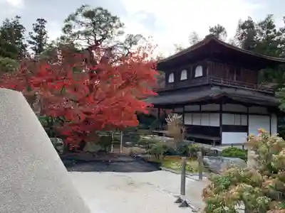 慈照寺（慈照禅寺・銀閣寺）の本殿・本堂
