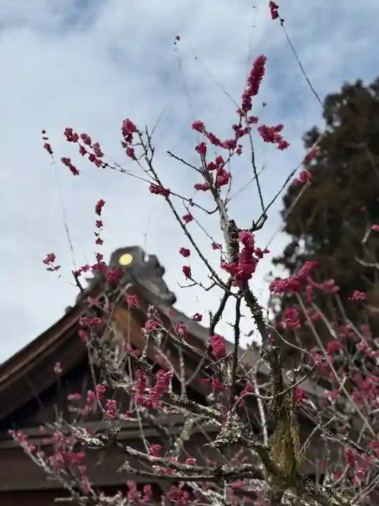 小國神社(静岡県)