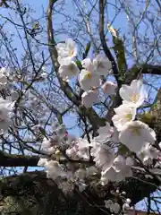 熊野神社(福井県)