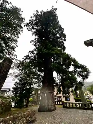 飛驒一宮水無神社(岐阜県)