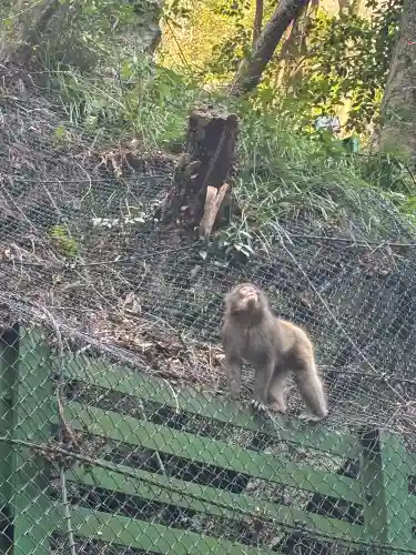 瀧安寺の{uncategorized: "未分類", other: "その他", undefined: "問題あり", building: "その他建物", grave: "お墓", sacred_gate: "鳥居", guardian: "狛犬", statue: "像", buddha: "仏像", history: "歴史", nature: "自然", garden: "庭園", animal: "動物", pagoda: "塔", temizu: "手水舎", mountain_gate: "山門・神門", sanctuary: "本殿・本堂", subordinate: "末社・摂社", art: "芸術", scenery: "景色", jizo: "地蔵", ema: "絵馬", goshuin: "御朱印", omikuji: "おみくじ", items: "授与品その他", amulet: "お守り", goshuincho: "御朱印帳", eats: "食事", festival: "お祭り", votive_dance: "神楽", shichigosan: "七五三参", wedding: "結婚式", experience: "体験その他", initially: "初詣", around: "周辺", anti_infection: "感染症対策"}