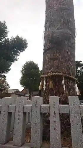 下野國一社八幡宮のその他建物