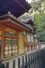 金地院の本殿