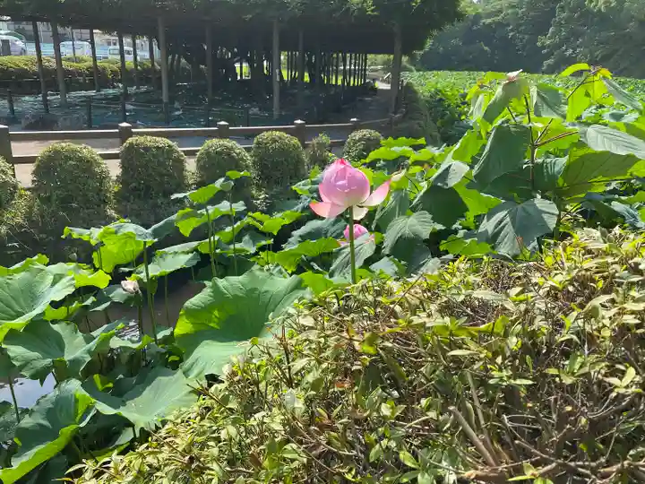 報徳二宮神社(神奈川県)