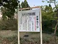 大山祇神社の周辺