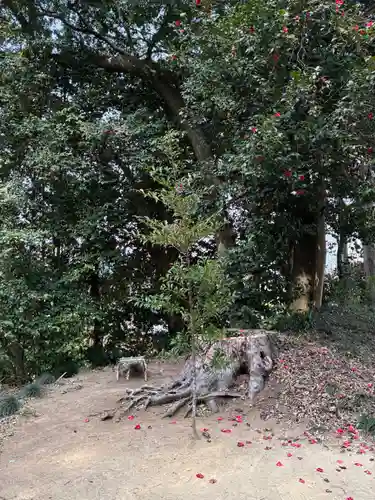 香取神社(茨城県)