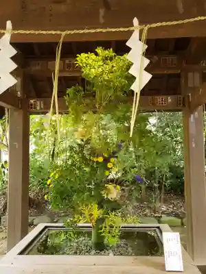 赤坂氷川神社(東京都)