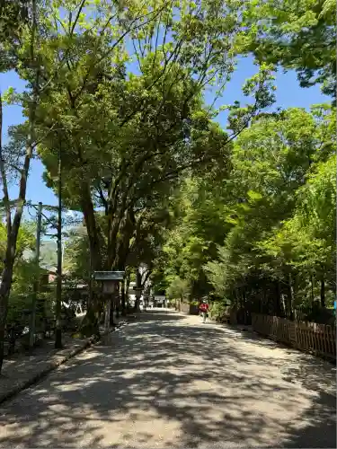 天岩戸神社(宮崎県)