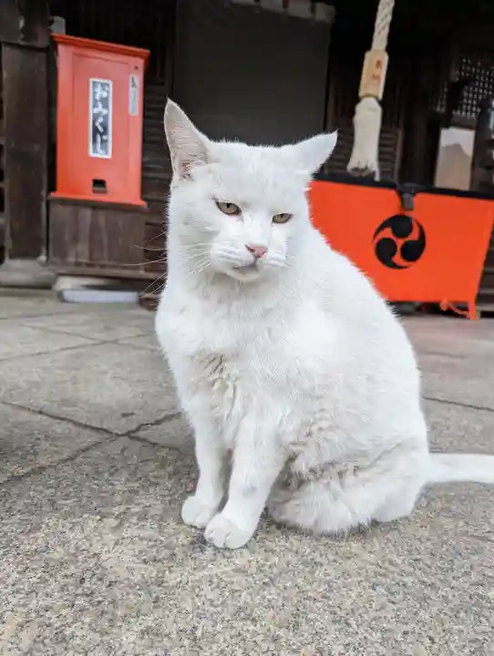 羽黒神社(岡山県)