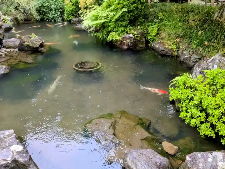 金蛇水神社(宮城県)