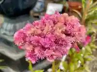 福相寺(東京都)