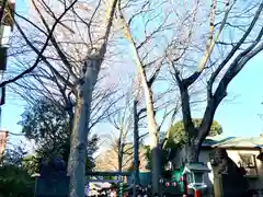 田無神社(東京都)