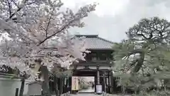 本法寺の建物その他