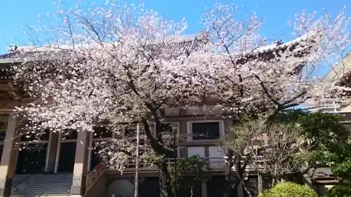 東本願寺(東京都)