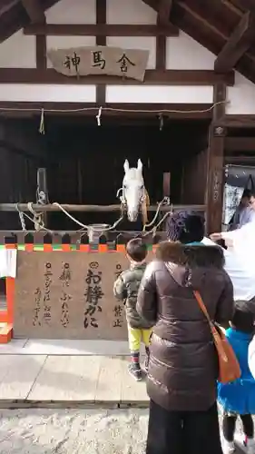 賀茂別雷神社（上賀茂神社）の動物
