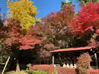 天翁院の山門・神門