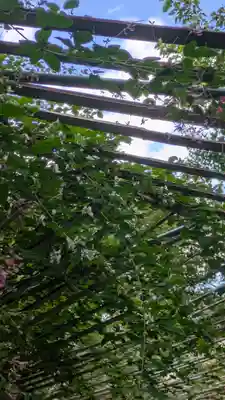 梨木神社(京都府)