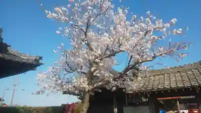 治寶山 浄泉寺(愛知県)